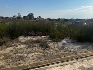 0 Bedroom Property for Sale in Albertinia Western Cape